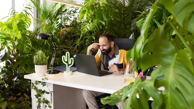 Un hombre barbudo trabaja en un portátil en un escritorio rodeado de numerosas plantas verdes en una oficina moderna y luminosa.